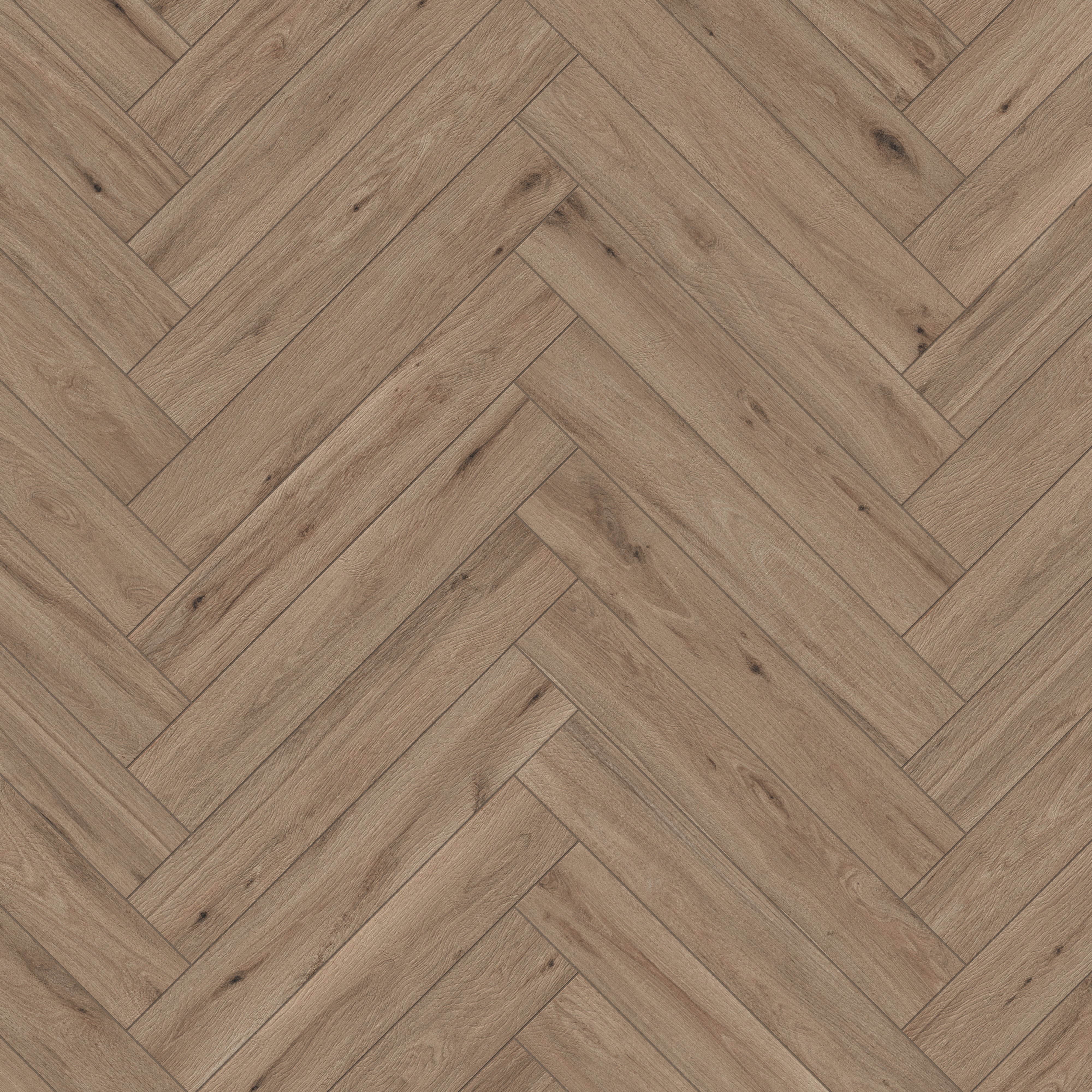 Preston 8x48 Matte Porcelain Tile in Pine - Image 18